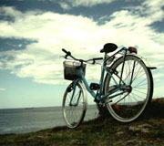 Image of AUTUMN TINTS CYCLING COMRADES